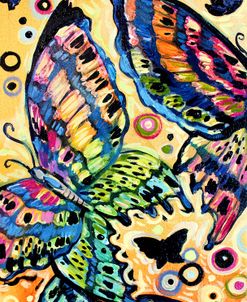Butterfly Sonet