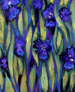 Irises