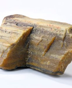 Petrified Wood