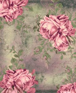 Roses Antoinette III