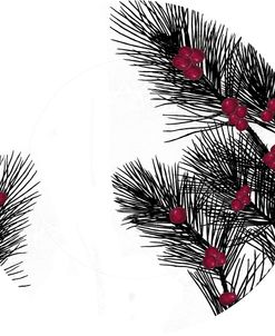 Forest Holiday II