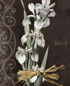 Fleurs de Paris II