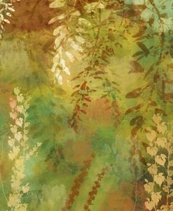 Wisteria II