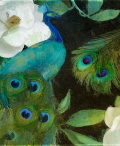 Aqua Peacock I