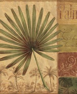 Palmera I