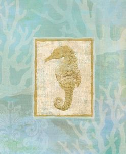 Seahorse II