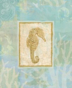 Seahorse I