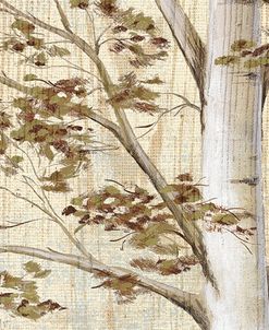 Birch & Texture II