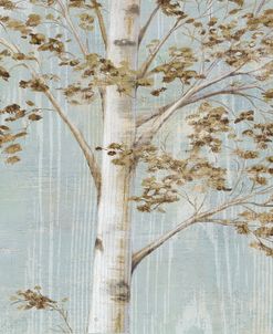 Birch Study II