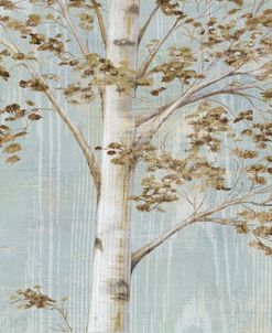 Birch Study II