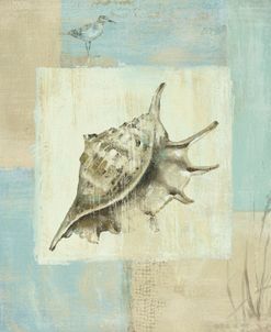 Sea Finds IV