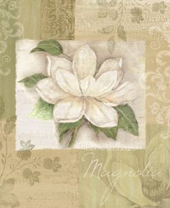 Magnolia II