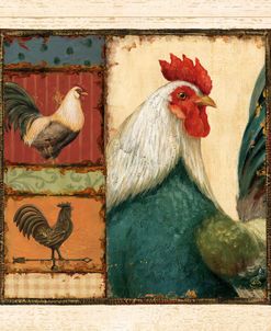 Rooster Portraits I