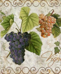 Pastoral Fruits IV