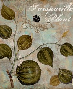 Flavor Blossoms I