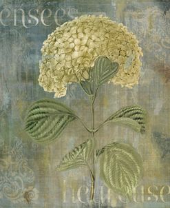 Pensees Heureuses
