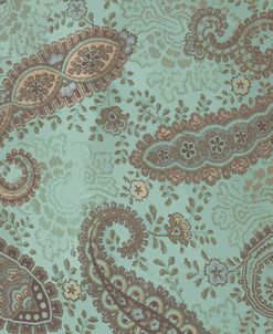 Cool Paisley I