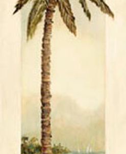10354 Cayman Palm I