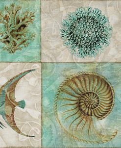 Sea Life II