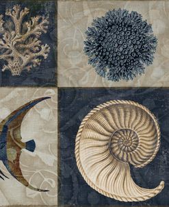 Sea Life IV
