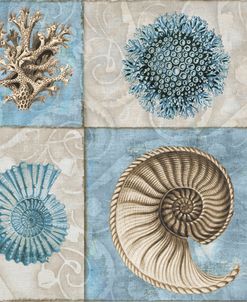 Sea Life VI