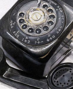 When The Cat’s Away