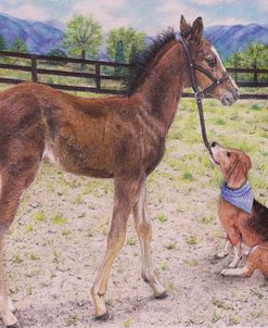 I Will Lead You Home