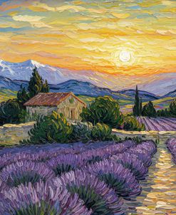 Lavender Fields 3