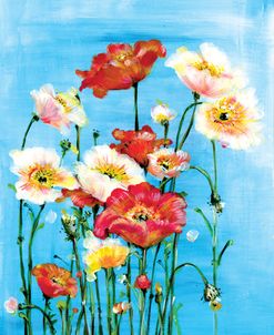 Poppies On Blue