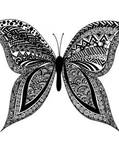 Zen Butterfly