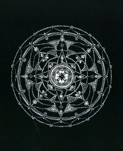 Misunderstood Mandala Acrylicon Canvas