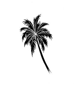 Black Palm Tree