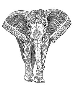 Light Elephant