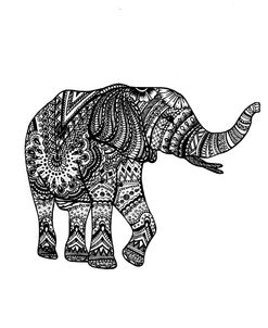 Elephant 3