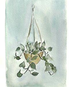 Plant Series Pothos