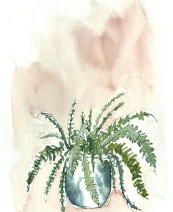 Plant Series Fern