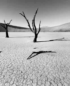 Namibia Dead Vlei