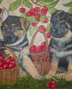 Puppies And Cherries