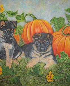 Puppies And Pumpkins