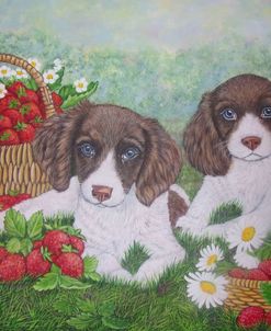 Puppies And Strawberries