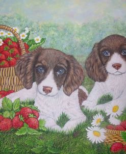 Puppies And Strawberries