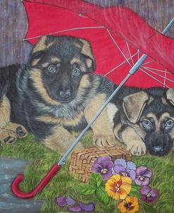 Puppies Under  A Red Umbrella