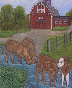 Farm Scene With Drinking Water Calves