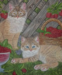 Ginger Cats And Raspberries