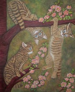Ginger Cats On A Blooming Apple Tree