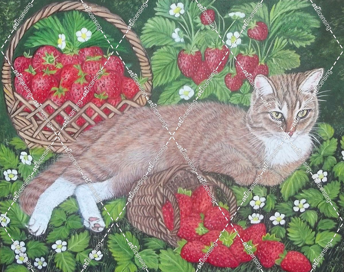 Ginger Cat And Strawberries