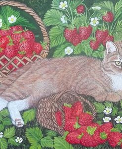 Ginger Cat And Strawberries