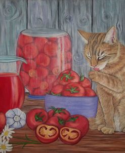 Ginger Cat And Tomatoes