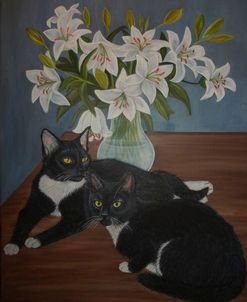 Tuxedo Cats And White Lilies