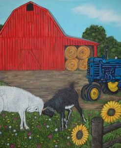 Farm Scene With Red Barn, Goats, And Tractor